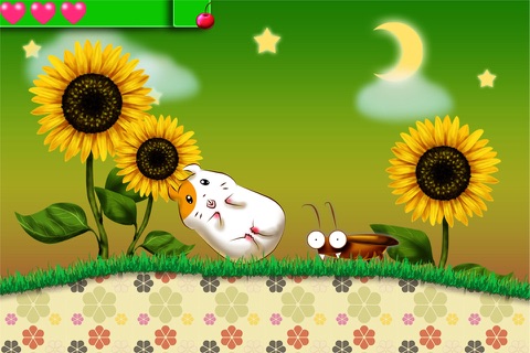 Hamster's Dream Land screenshot 2