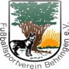 FSV 1968 Behringen e.V.