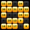 Touch the numbers from 1 to 25 as fast as you can, and become a world record holder