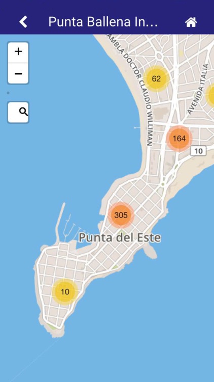 Punta Ballena Inmobiliaria screenshot-3