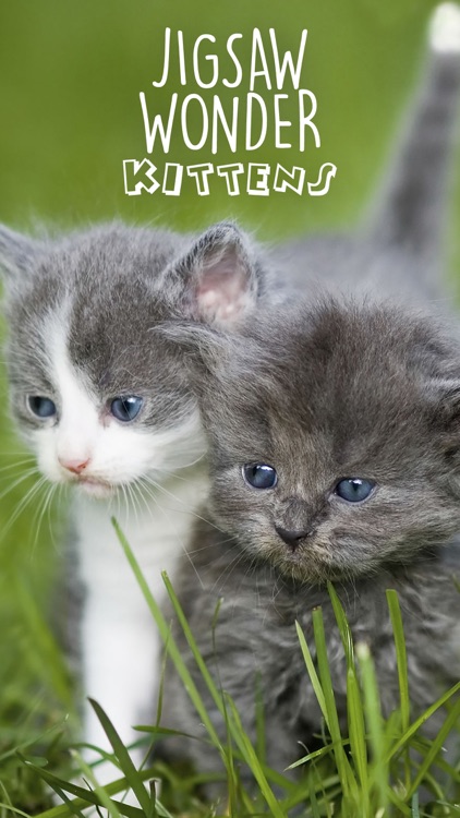 Jigsaw Wonder Kittens Puzzles for Kids screenshot-3