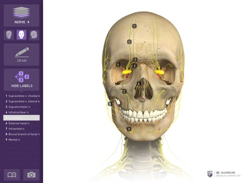 Interactive Anatomy - FI screenshot 4