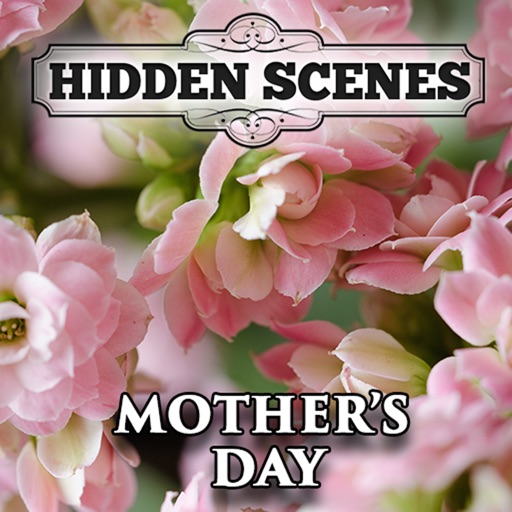 Hidden Scenes Mothers Day iOS App