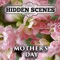 Hidden Scenes is a game similar to a jigsaw puzzle where you swap and flip the pieces to reveal the hidden scene