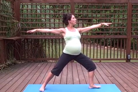 Pregnancy Workouts screenshot 3