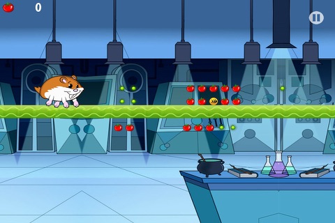 Hammy the Super Pet Hamster Runner Pro screenshot 4