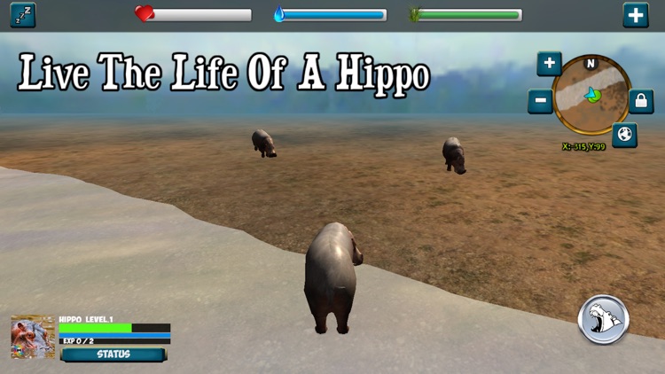 My Hippo Simulator