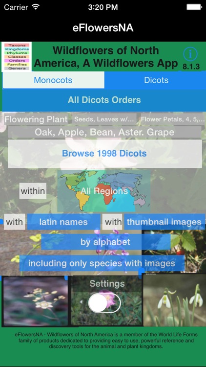 Wildflowers of North America - eFlowersNA - A Wildflower App