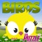 Adorable Birds MP