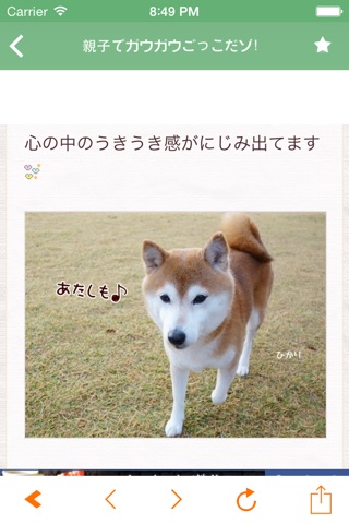 日刊いぬ新聞-犬ブログ＆イヌ動画アプリ screenshot 2