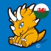 Welsh For Kids & Babies