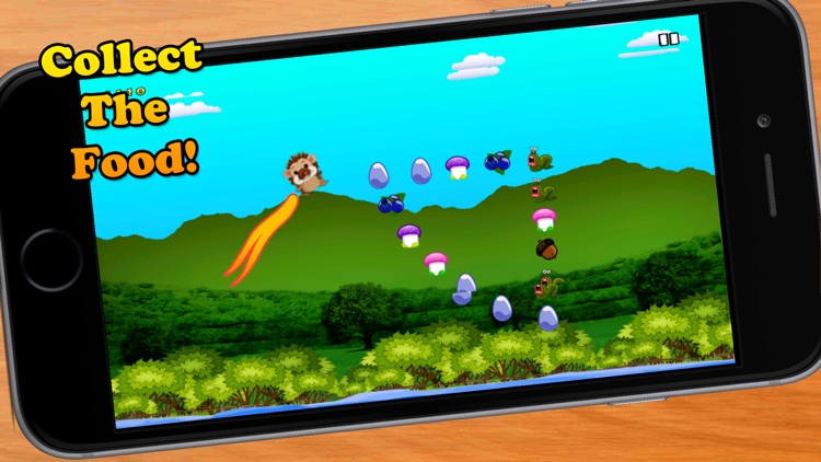 Bouncing Hedgehog! - Help The Launch Tiny Baby Hedgehog To Catch His Food! screenshot-3