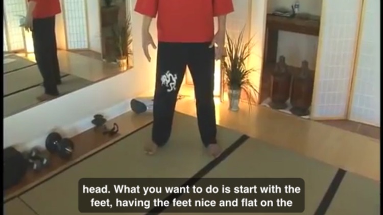 Qigong screenshot-3