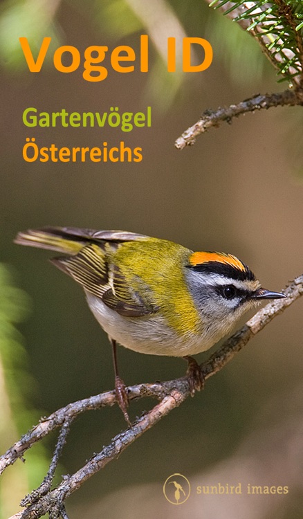 Vogel Id Österreich - Vögel Erkennen und Bestimmen in Natur und Garten