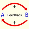 Feedback Model