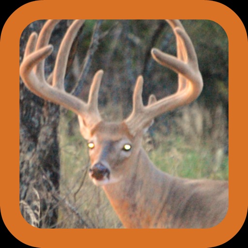 Deer Hunting: Whitetail Challenge iOS App