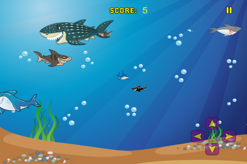 Shark Frenzy - Free screenshot 4