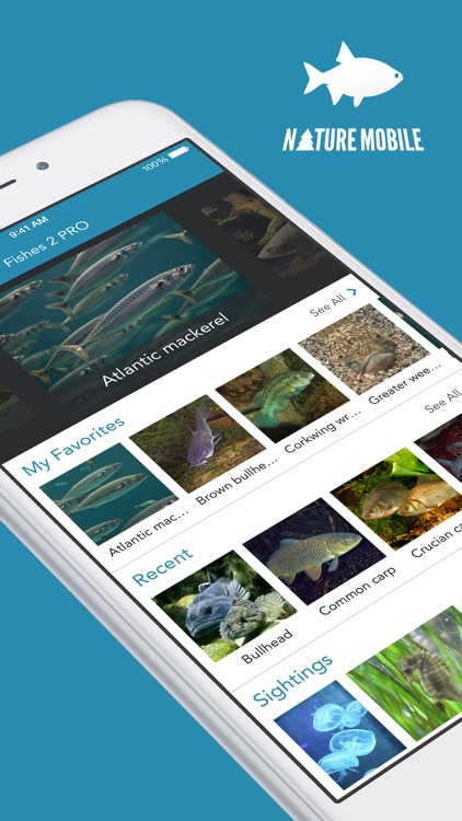 Fishes 2 PRO - The Field Guide to Central European Inland Waters, the Baltic Sea and the North Sea