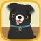 Pet Games for Kids: Cute Cat, Dog, and Fun Animal Puzzles - Education Edition