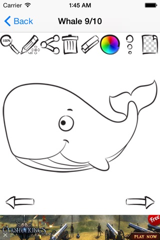 Drawing Sea Animals screenshot 4