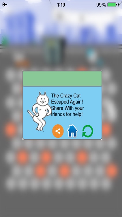 Catch The Crazy Cat !