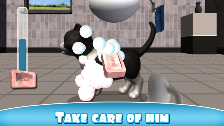 Daily Kitten : virtual cat pet