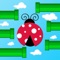 Flap Flap LadyBird