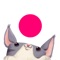 SnapCat - Cat jumping game