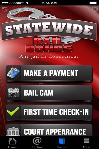 Statewide Bail Bonds screenshot 3