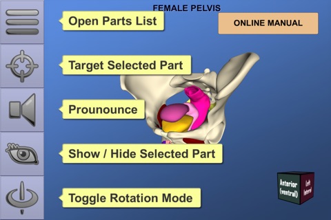 Understanding Female Pelvic Anatomy in 3D screenshot 2