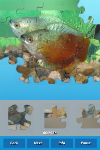 Fish Puzzles screenshot 2