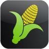 Corn Yield Finder