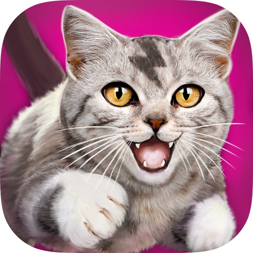 Cat Chase 3D Icon