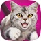 Cat Chase 3D