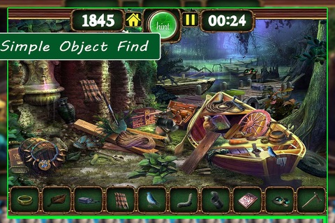 New Land - Hidden Object screenshot 4