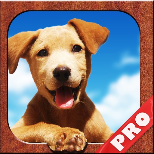 Game Cheats - Pets Guide Goodies Pulling for Playstation Vita Edition Icon