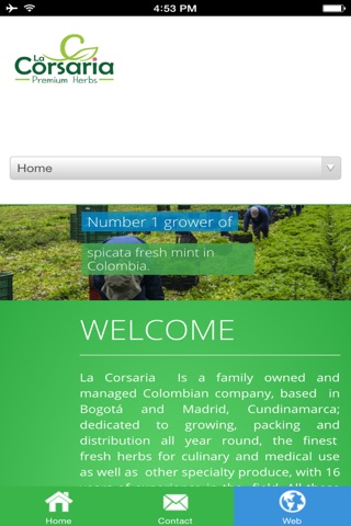 La Corsaria screenshot 2