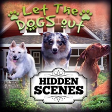 Activities of Hidden Scenes - Let the Dogs Out