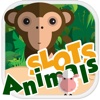 Jungle Animals Slots - FREE Casino Machine For Test Your Lucky