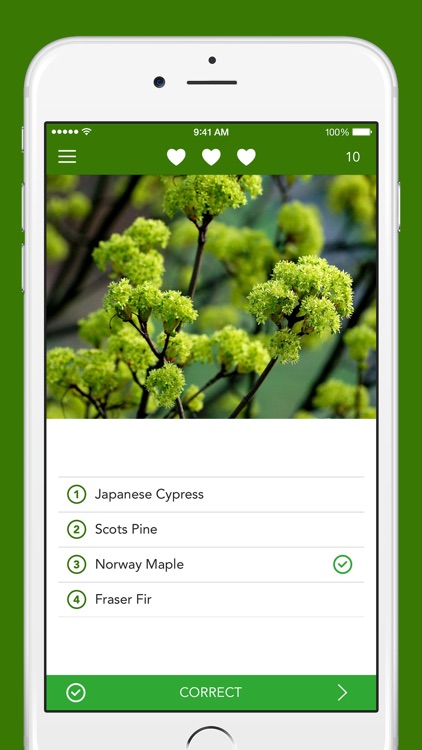 Trees 2 PRO - The Field Guide by NATURE MOBILE screenshot-3