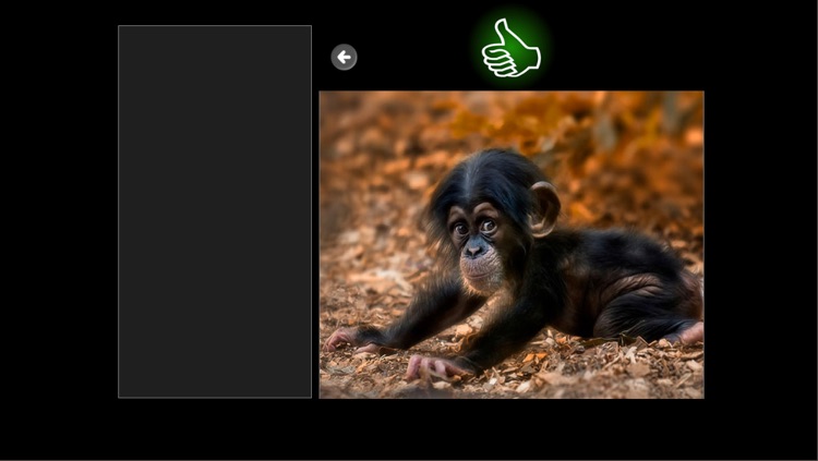 Jigsaw Puzzle Baby Animals screenshot-3