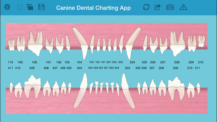 Pet Dental Charting- For veterinarians and technicians, Digital solution for dental charting screenshot-0