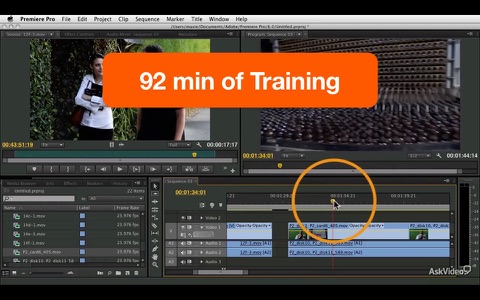 AV for Premiere Pro CS6 103 - Advanced Editing Tools screenshot 2