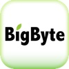 BigByte 大樹國際