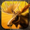 Moose Sniper Hunting Mission- Hunt in Forest & Mountain Hills with Shooter Gun