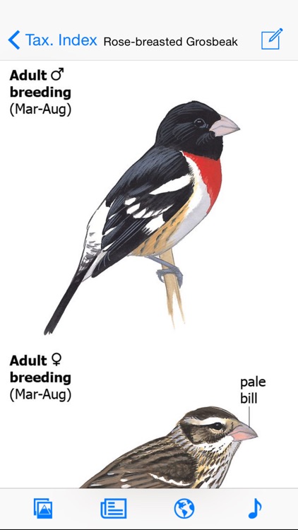 The Sibley eGuide to the Birds of North America
