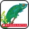 Bring the exciting world of the jungle to life with Scholastic's First Discovery: The Jungle app