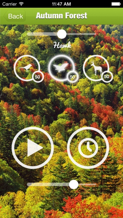 Forest Sound for Sleep and Meditation screenshot-3