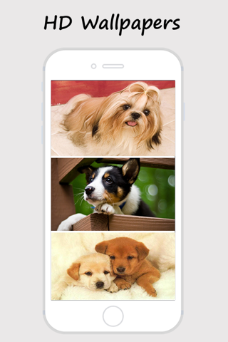 Cute Dogs and Puppy Wallpapers screenshot 3