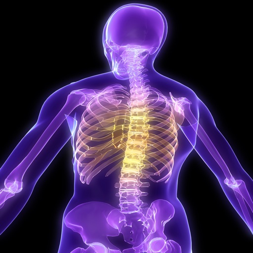Human Biology : Skeletal System Quiz iOS App